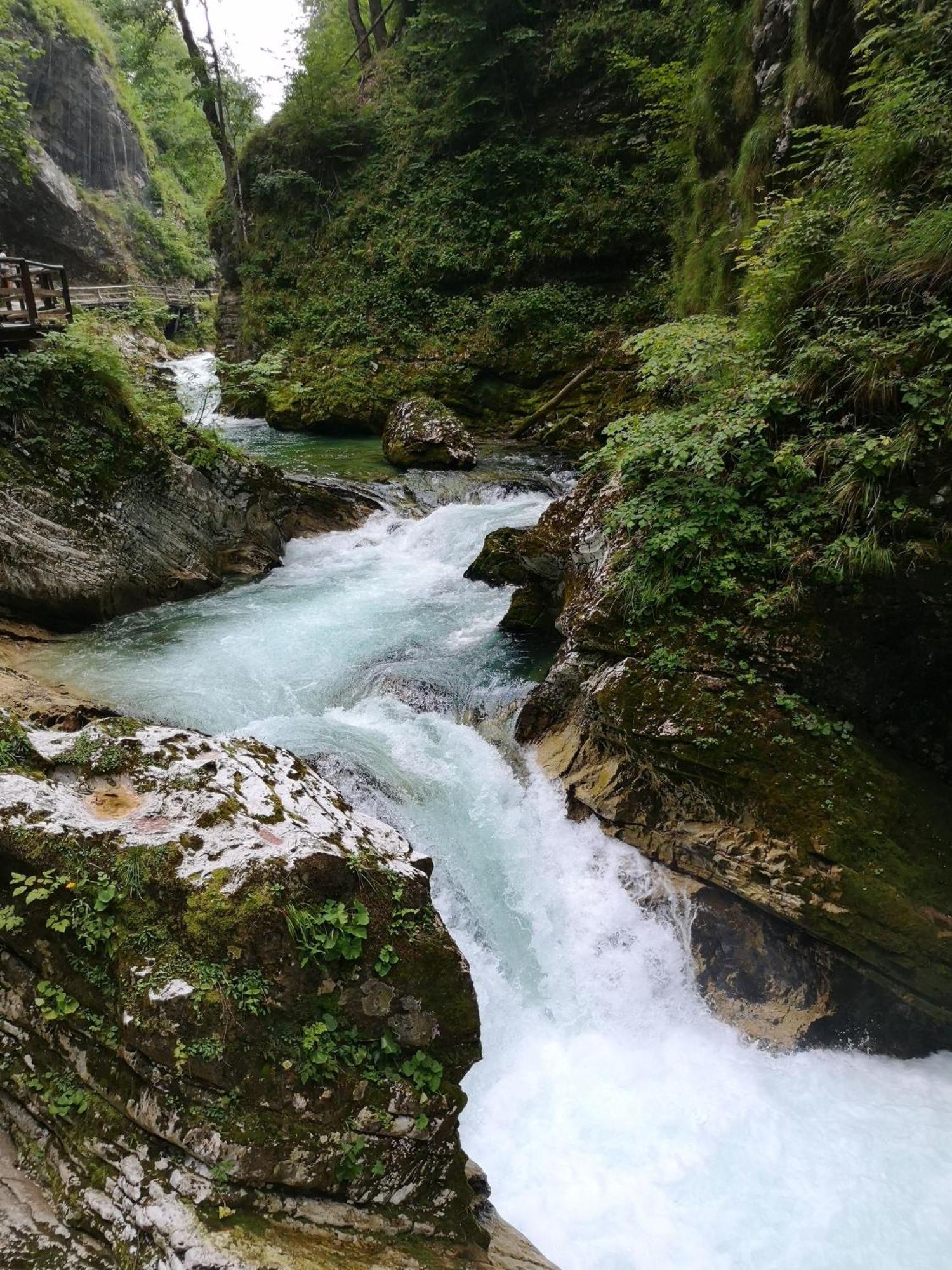 Kiara Rooms Jesenice Dış mekan fotoğraf