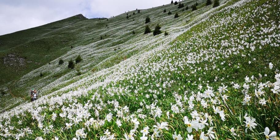 Kiara Rooms Jesenice Dış mekan fotoğraf