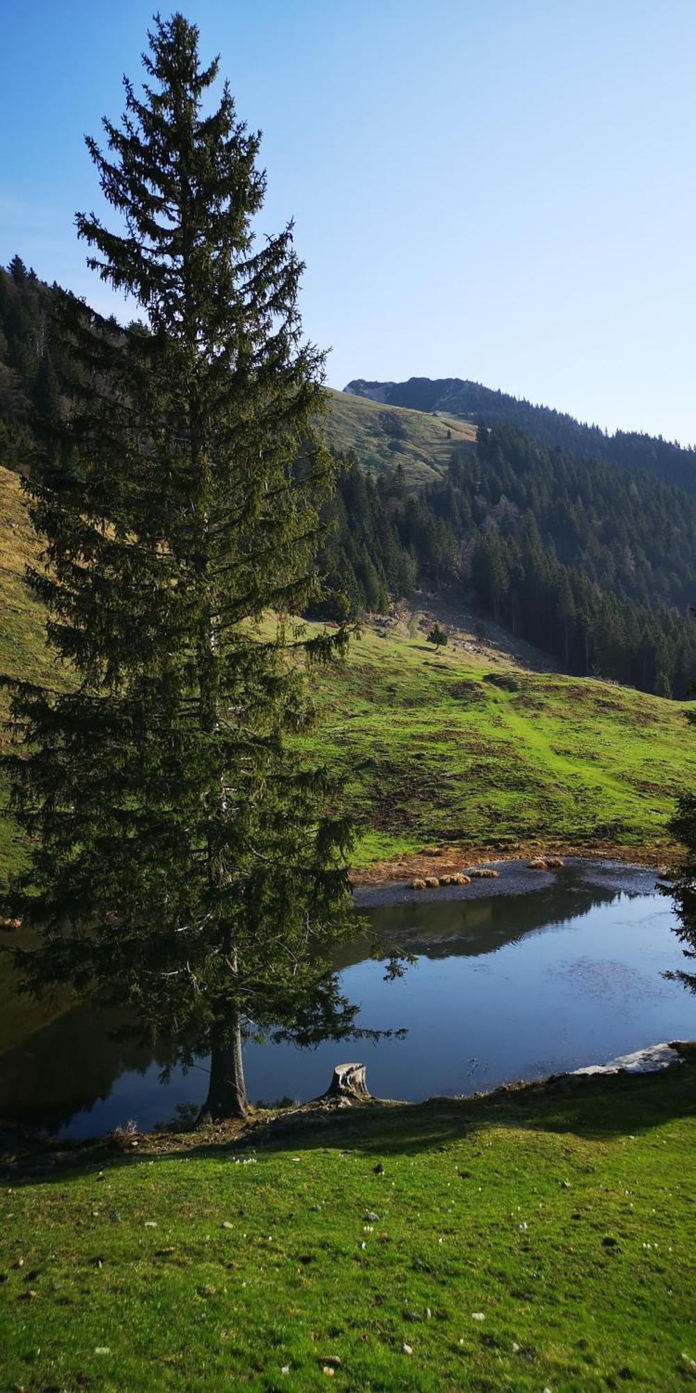Kiara Rooms Jesenice Dış mekan fotoğraf